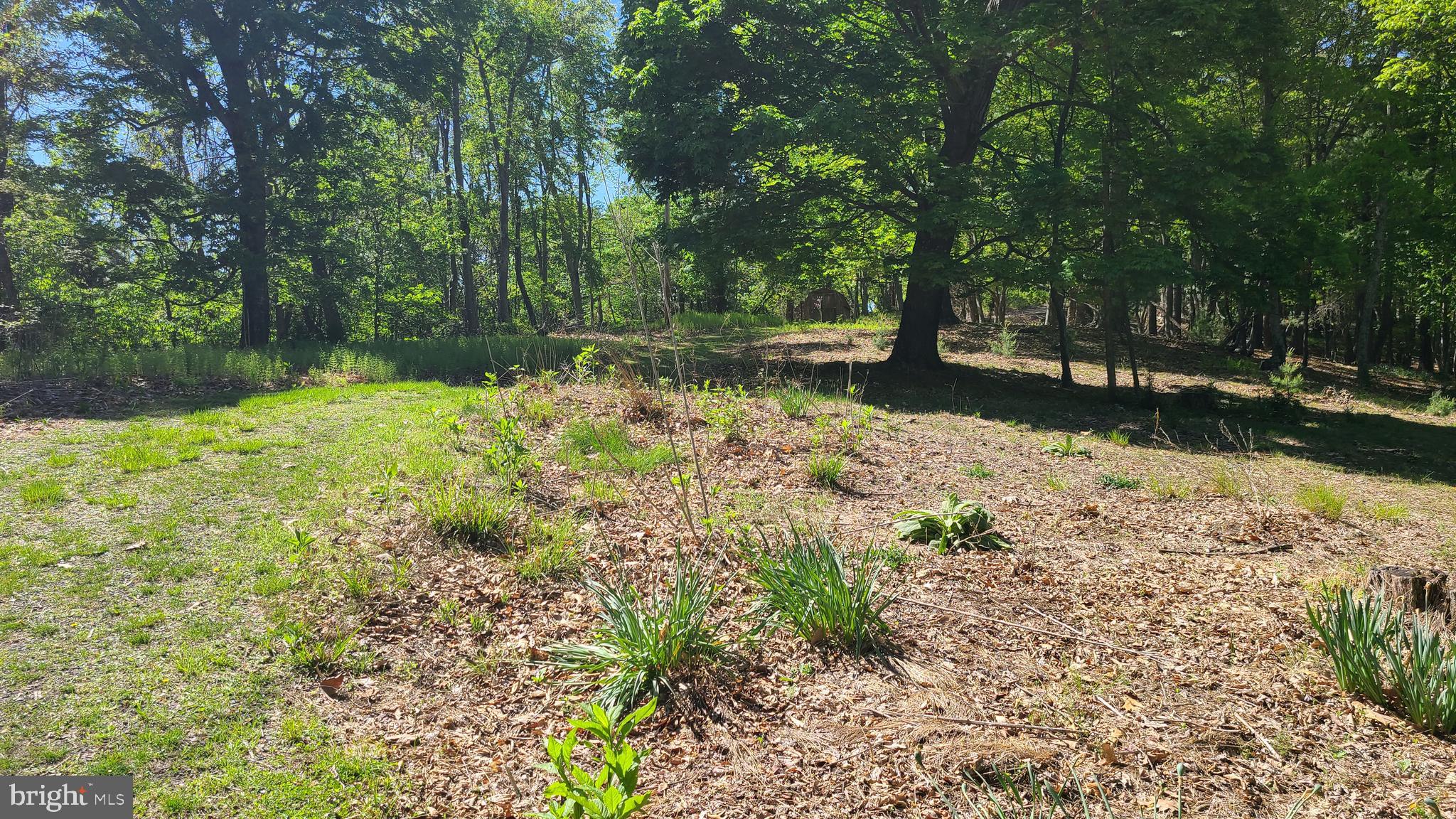 BUCK RIDGES (FORMERLY TREASURE MOUNTAINS) - Residential