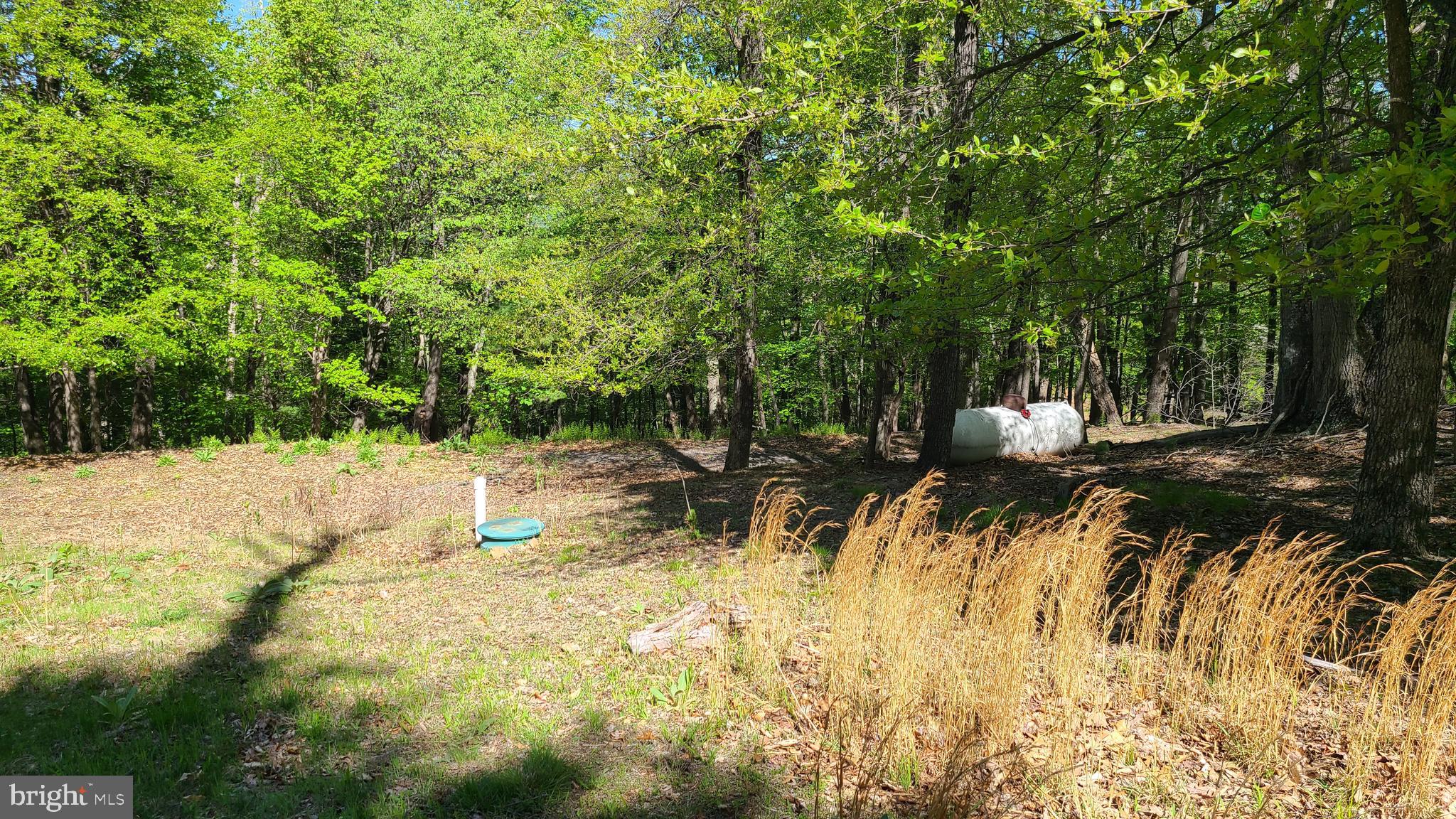BUCK RIDGES (FORMERLY TREASURE MOUNTAINS) - Residential