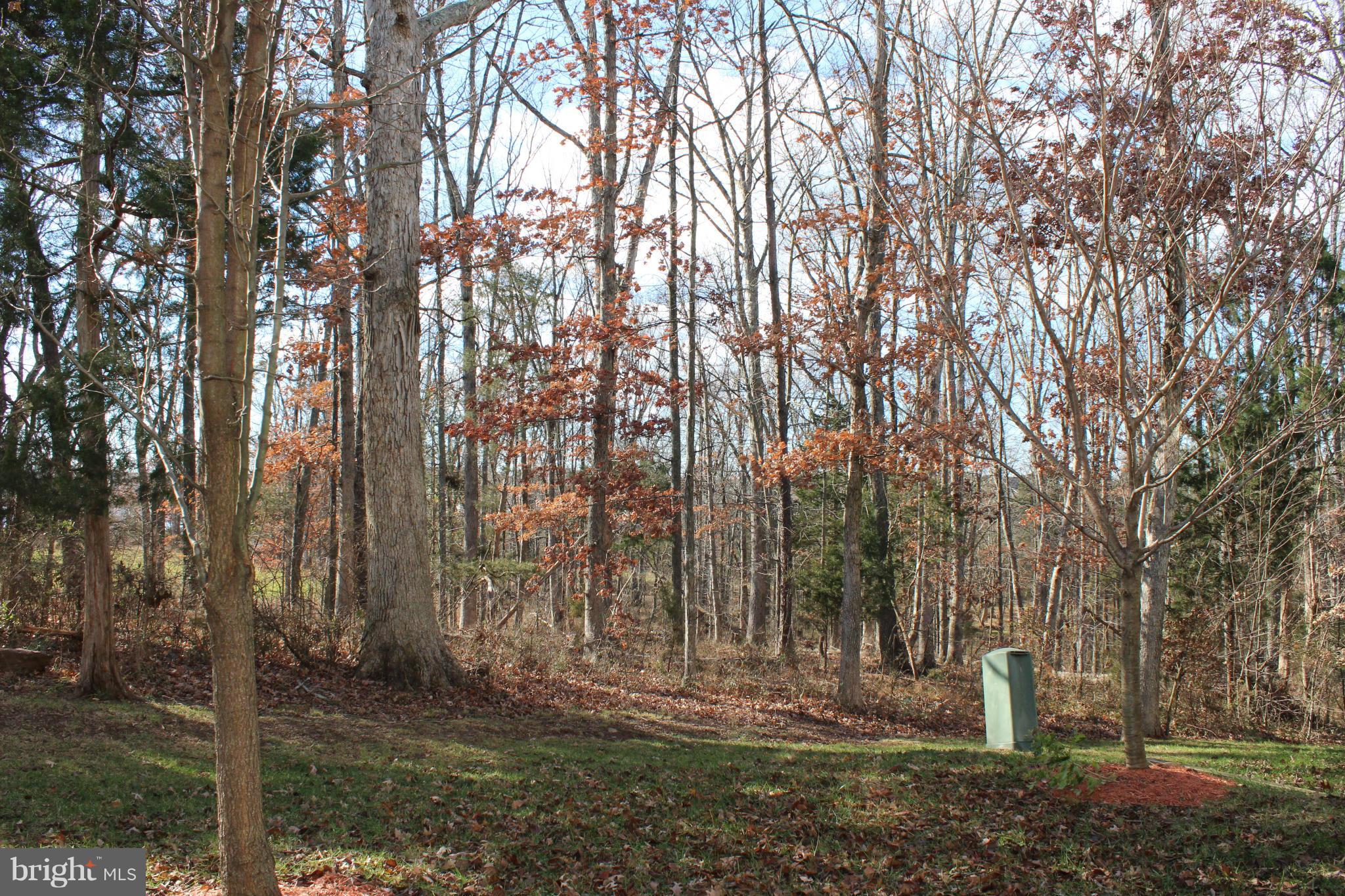 INDEPENDENCE - Residential Lease