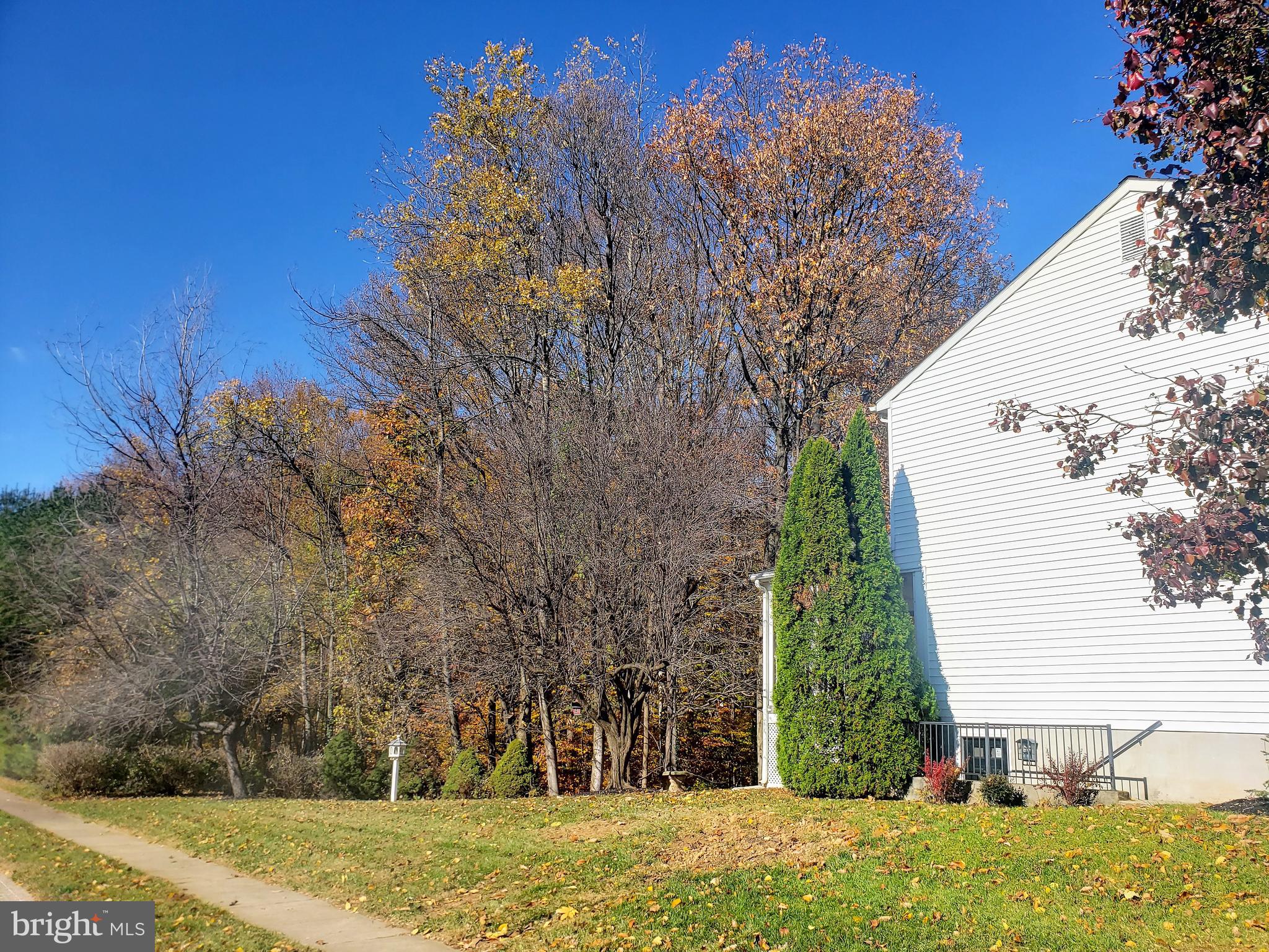 CONSTANT FRIENDSHIP - Residential