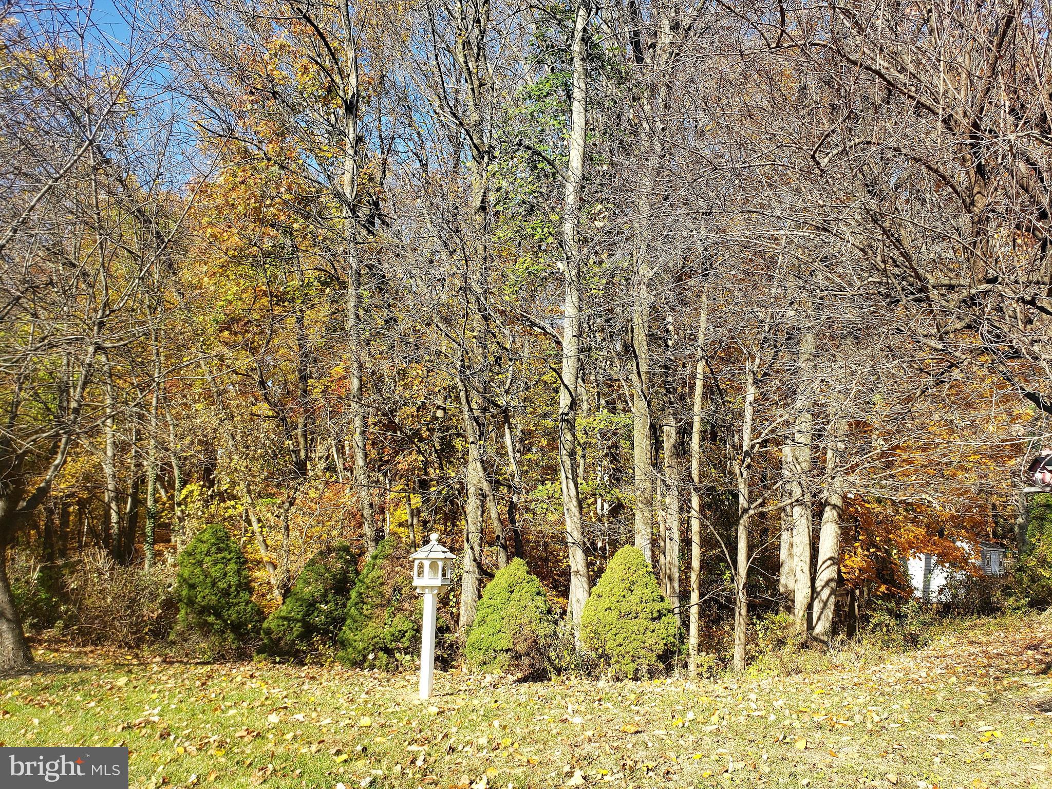 CONSTANT FRIENDSHIP - Residential