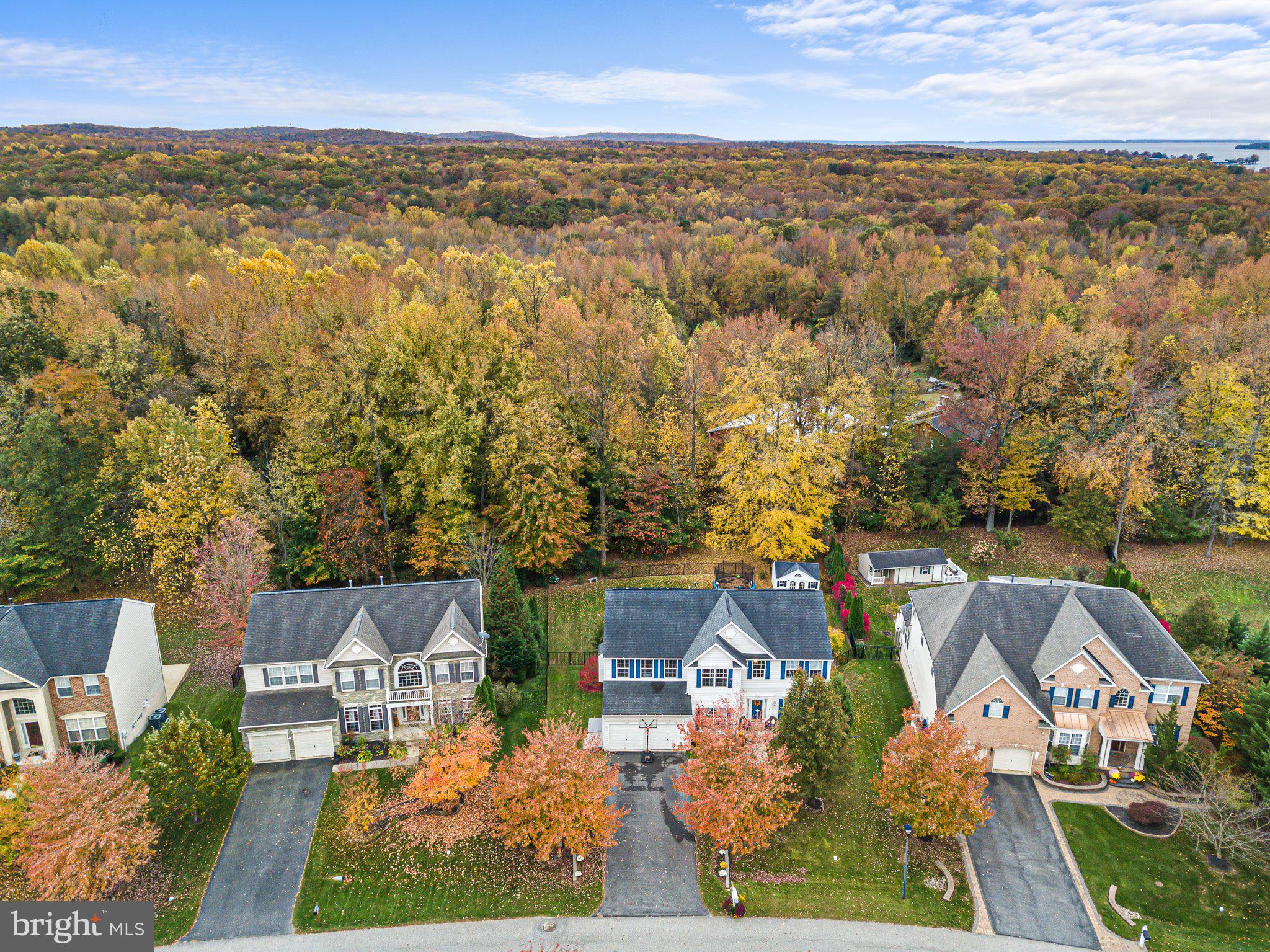 CHESAPEAKE BAY GOLF CLUB - Residential