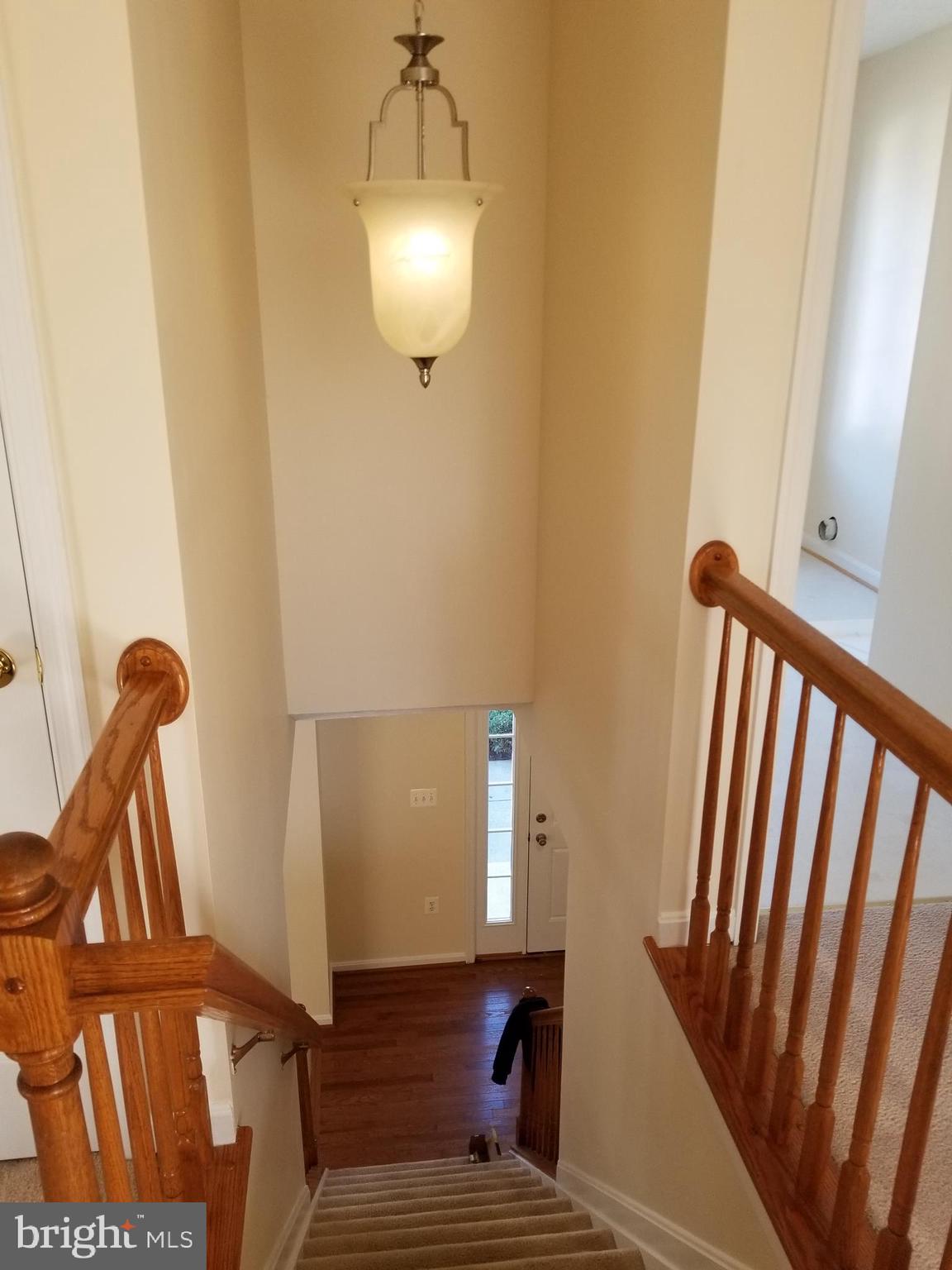 WILLOW WOODS - Residential