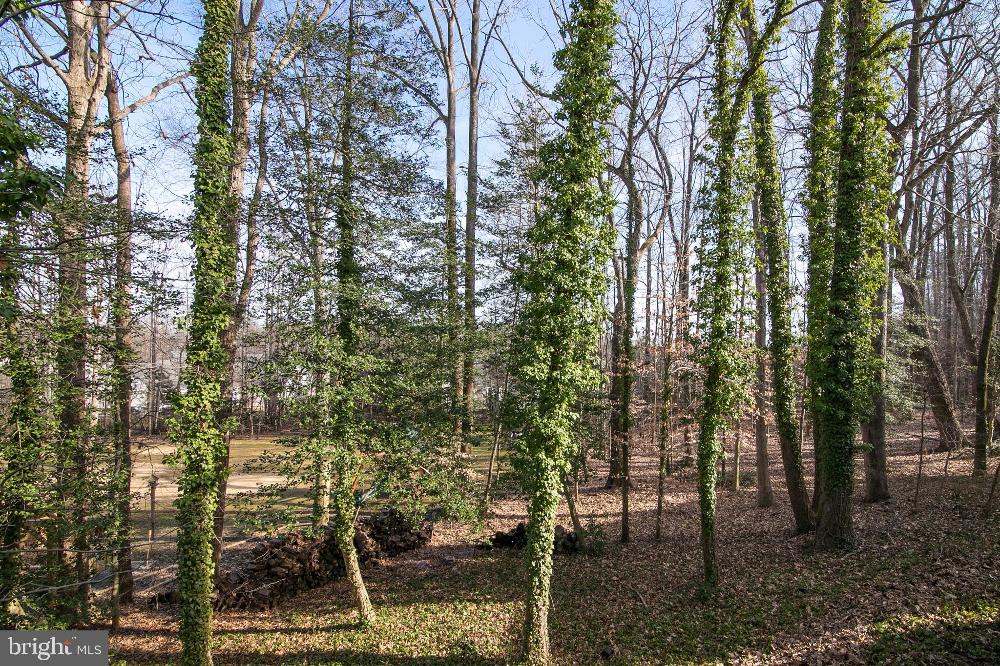 MONTCLAIR - Residential Lease