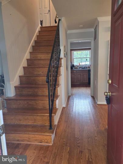 ORANGE HUNT ESTATES - Residential