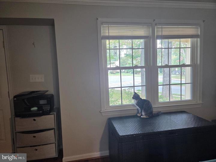 ORANGE HUNT ESTATES - Residential