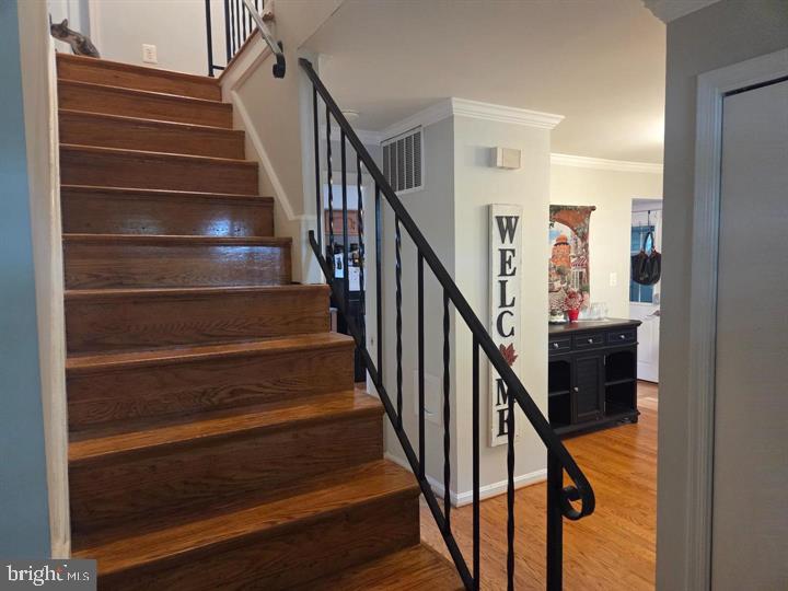 ORANGE HUNT ESTATES - Residential