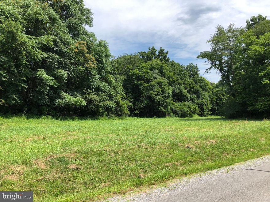 3.6 acres in gated subdivision. Paved roads throughout the subdivision and electric is already on the property. Private subdivision river access and boat marina. Visit the subdivision website for more information. www.crossingsonthepotomac.com