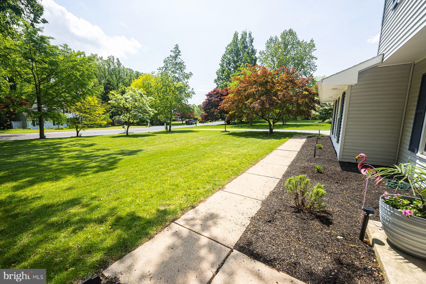 CHESTNUT HILL - Residential