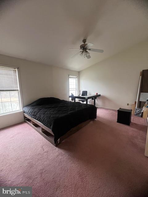 PINE BROOK - Residential