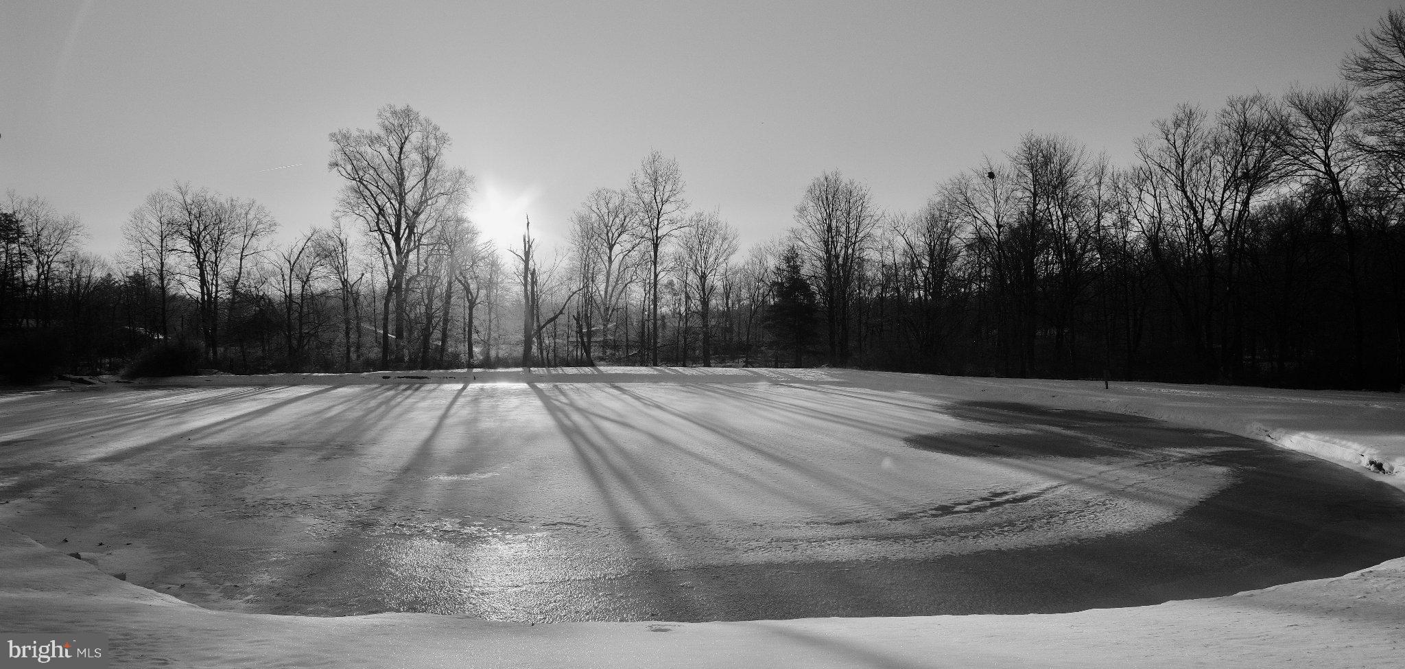 PINE BROOK - Residential