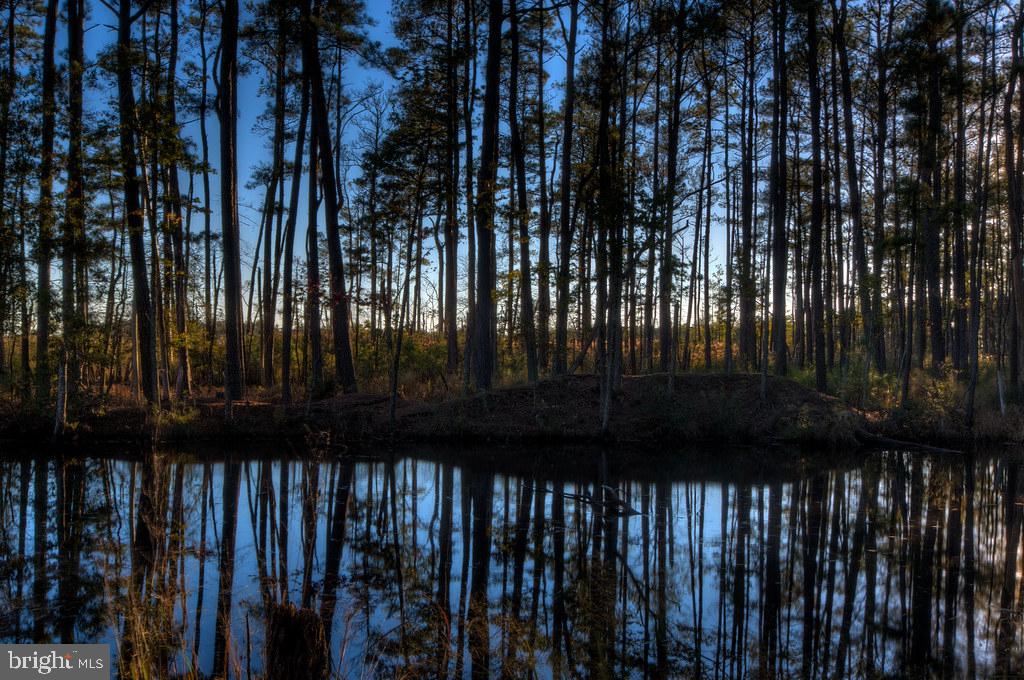 WILLOW OAK - Residential