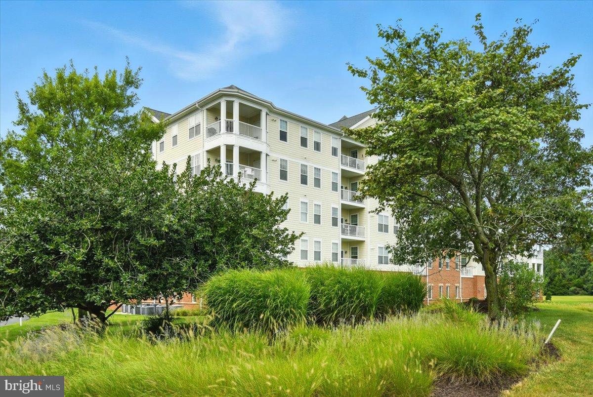 WILLOW OAK - Residential