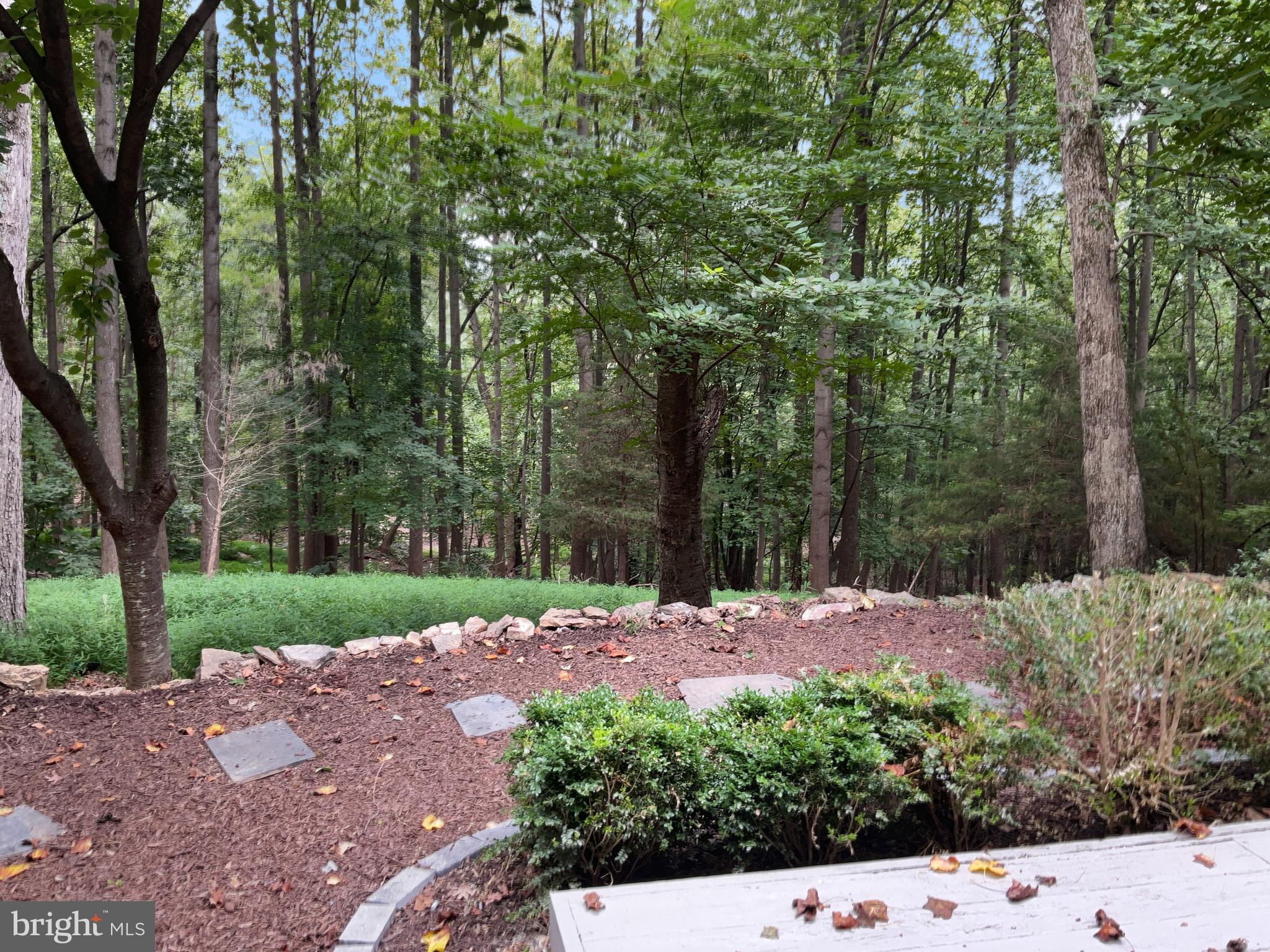 BULL RUN MOUNTAIN - Residential