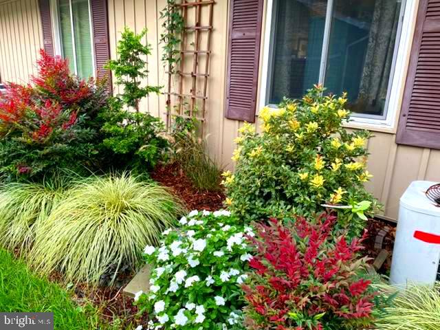 ROSSMOOR LEISURE WORLD - Residential