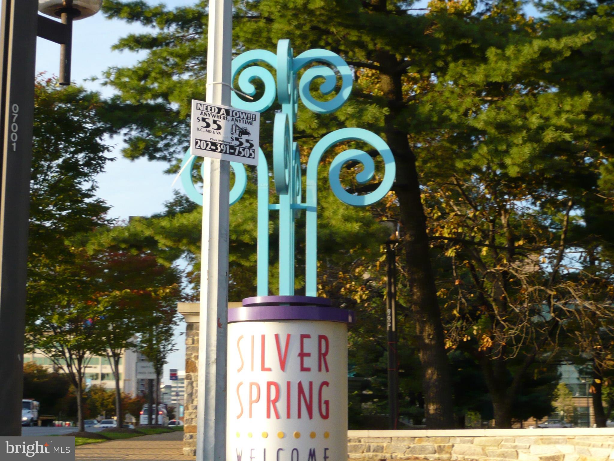 LINDEN FOREST - Residential