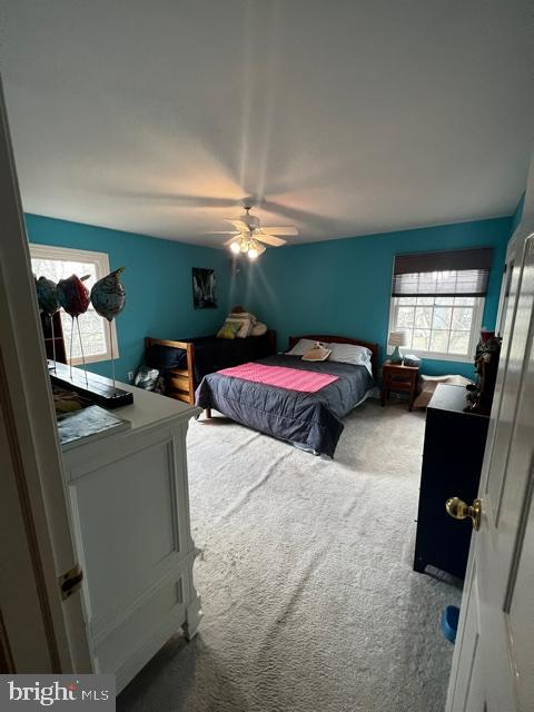 YARDLEY RUN - Residential