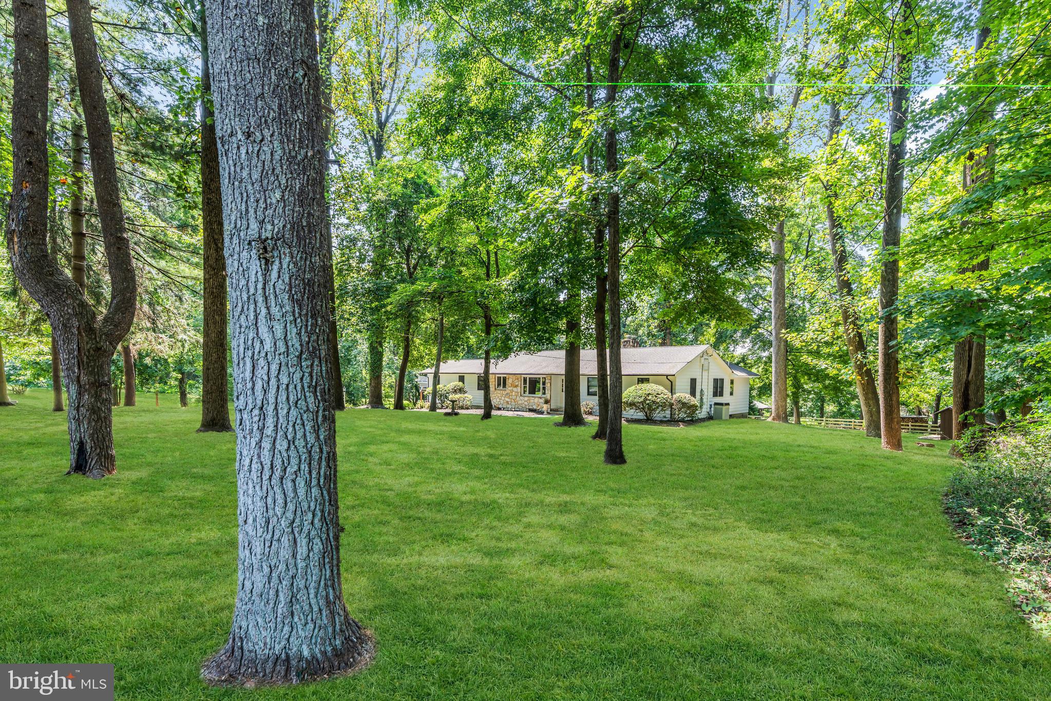 12 MONTAGUE AVENUE