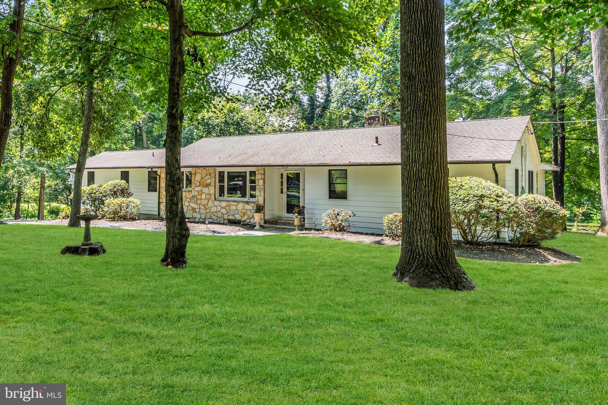 12 MONTAGUE AVENUE