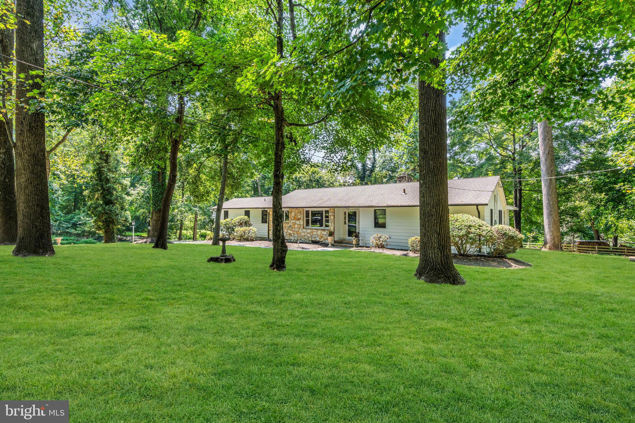 12 MONTAGUE AVENUE