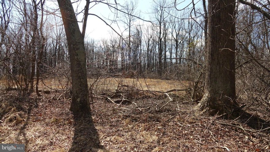3+ acre wooded building lot with 4 BR perk. Approved well site. Private but easy access to both Rt7 & Rt50.