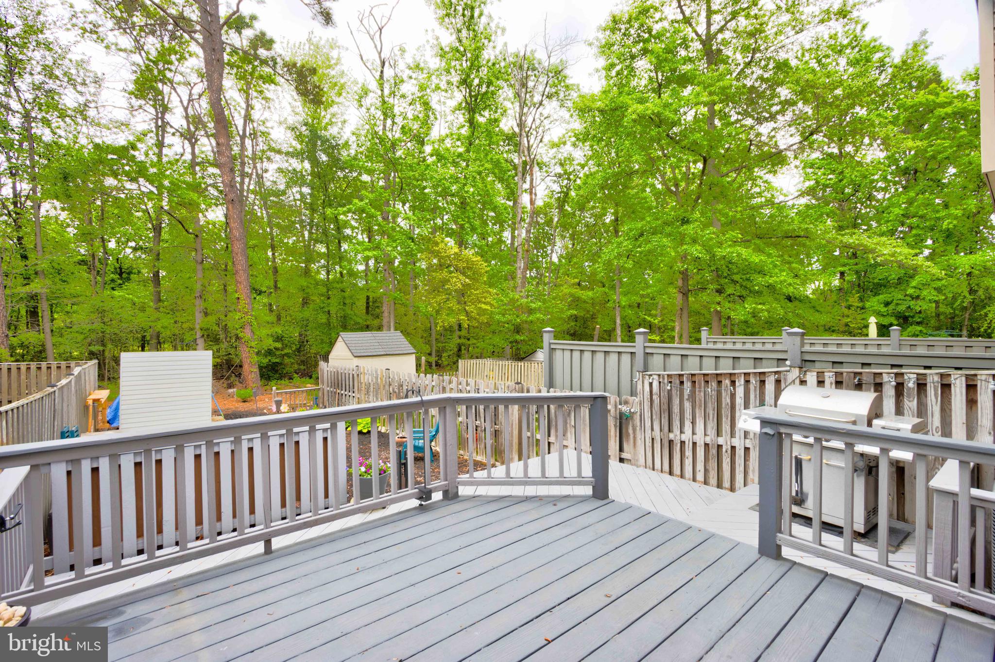 CHESTNUT HILL COVE - Residential