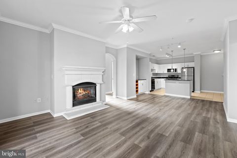 12917 CENTRE PARK CIRCLE 315 HERNDON VA 20171