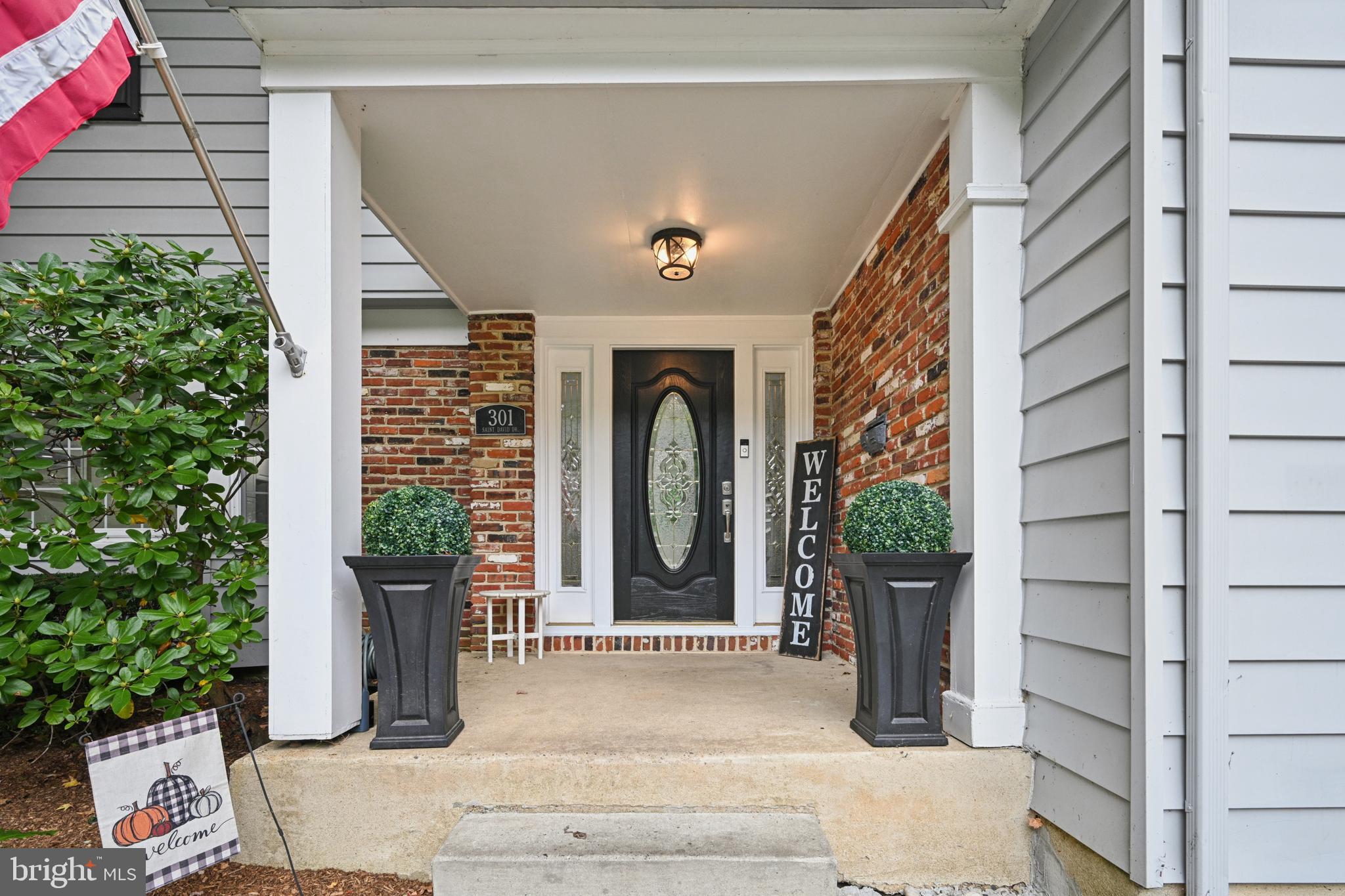 301 ST DAVID DRIVE