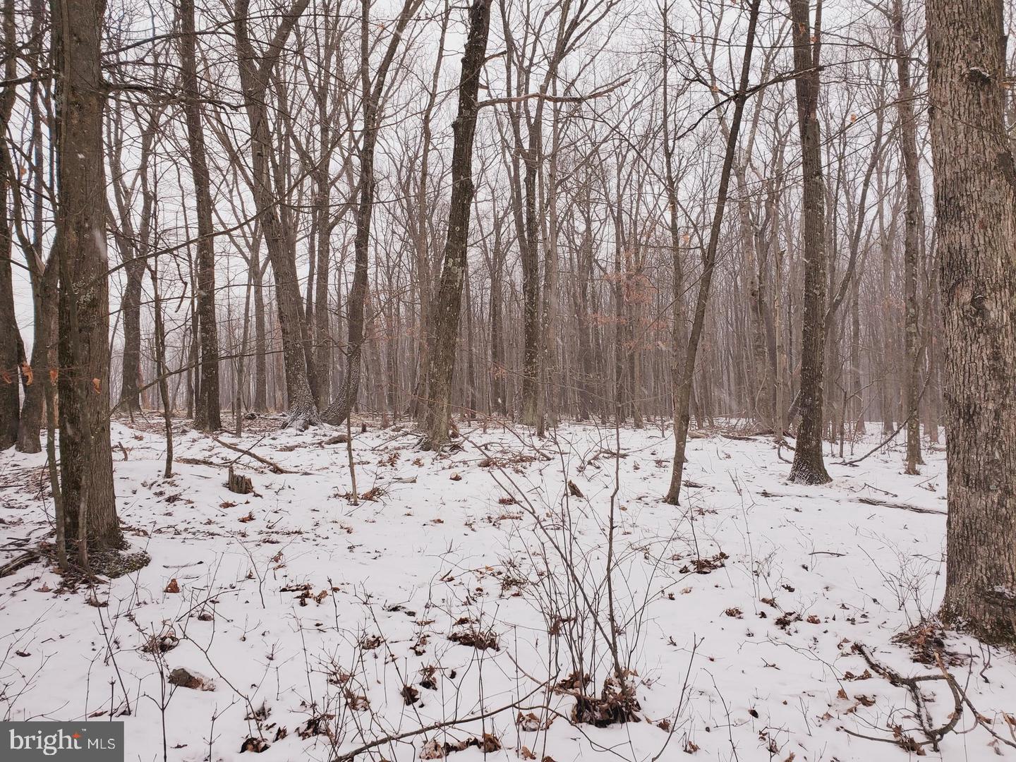 Nice 1 acre lot in a country setting, but close all the shopping and restaurants in LaVale!