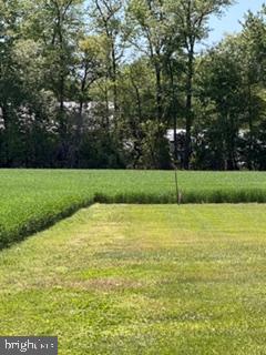 LOT #16 TOWER ROAD