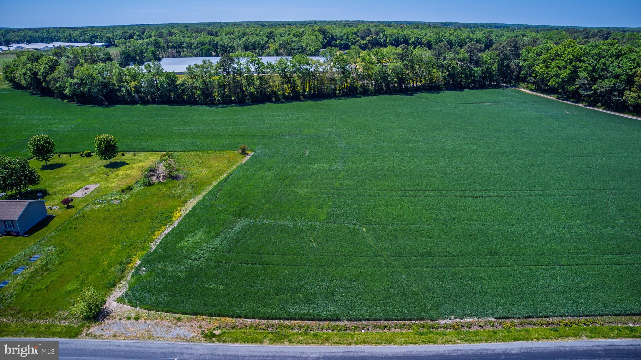 LOT #16 TOWER ROAD