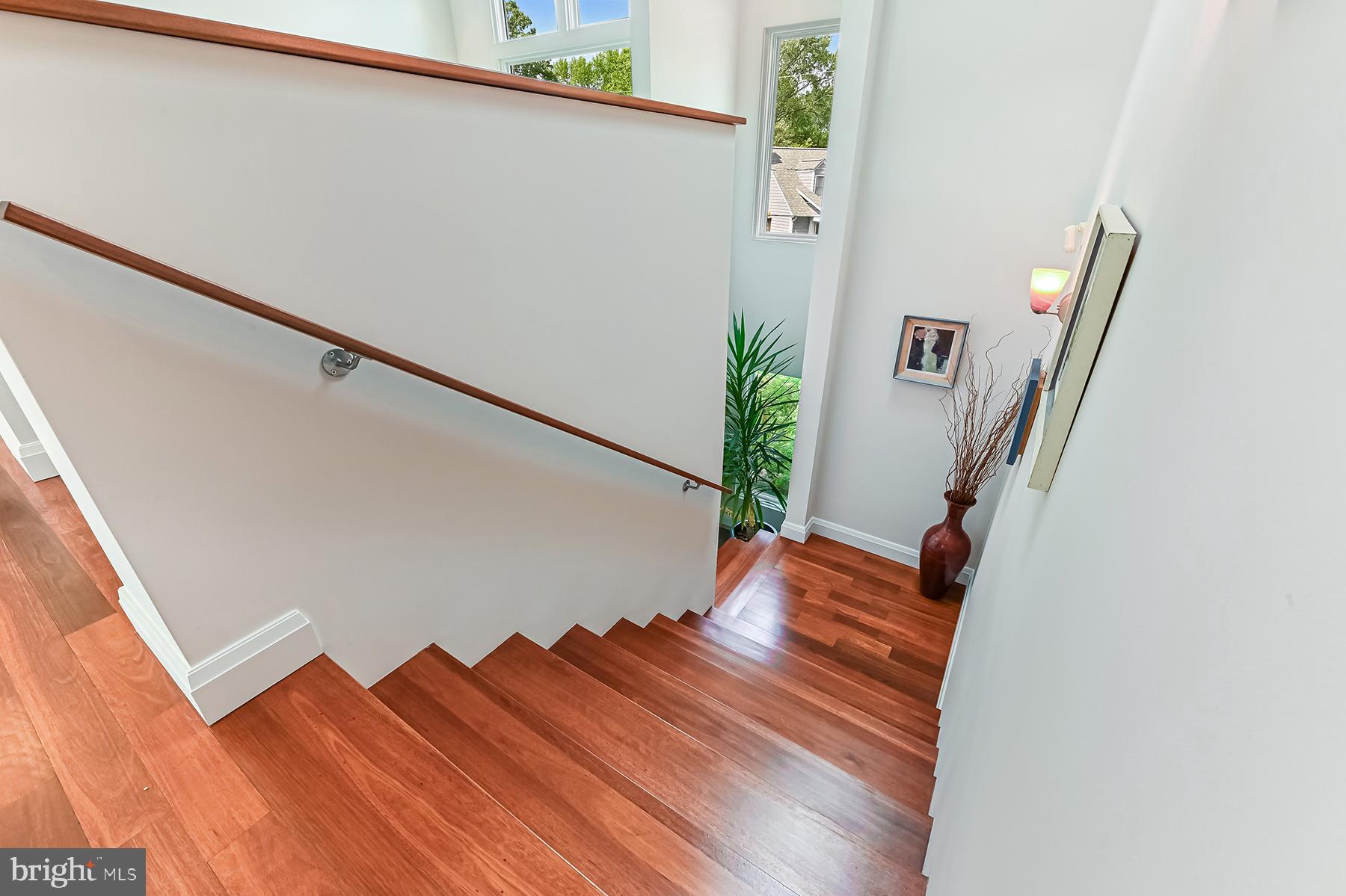 MIMOSA COVE - Residential