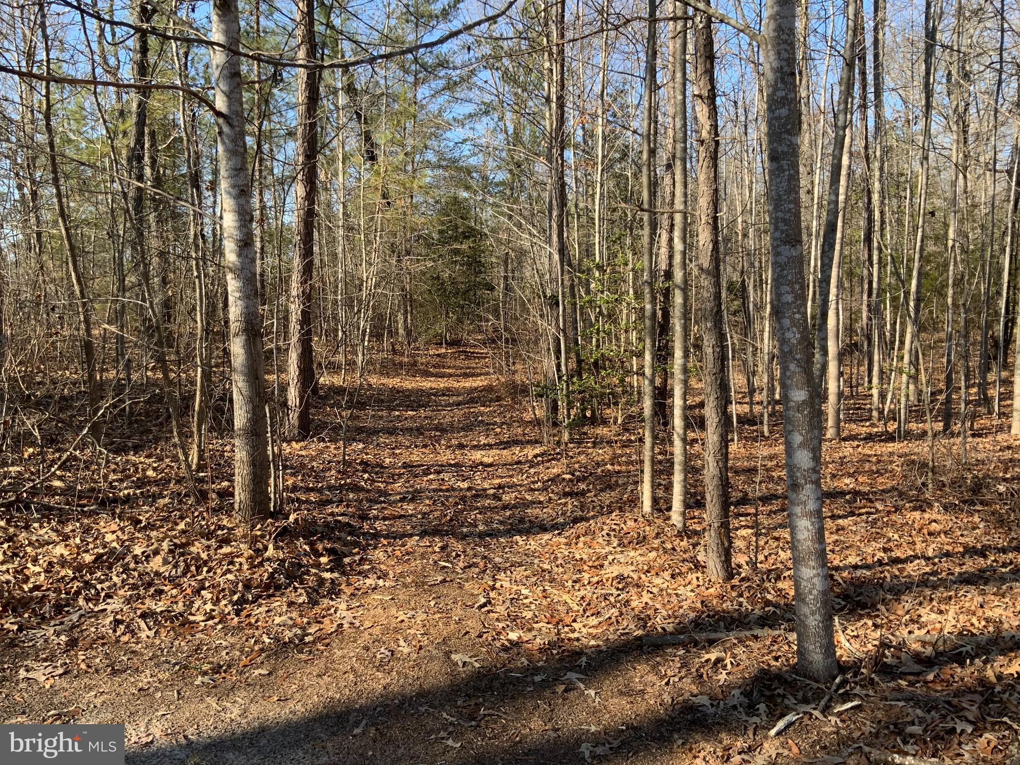 CAROLINE - Residential