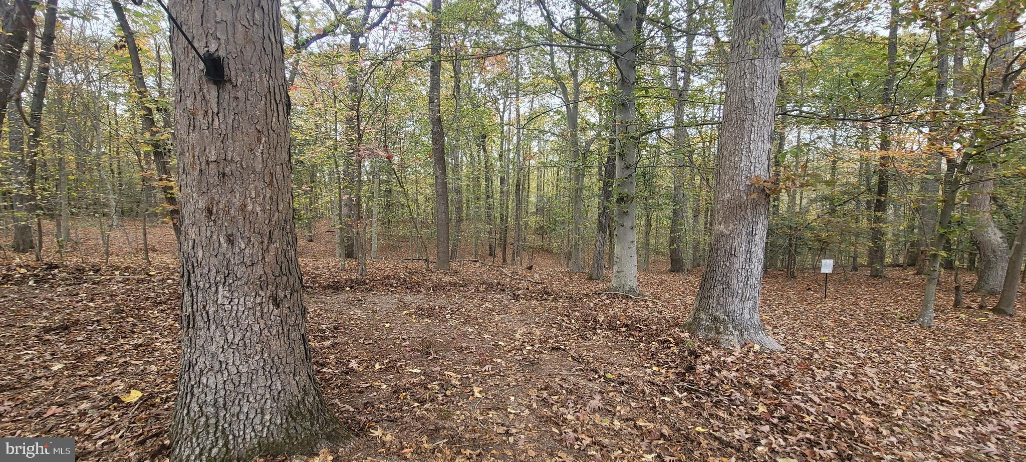 COVINGTON POINTE - Residential