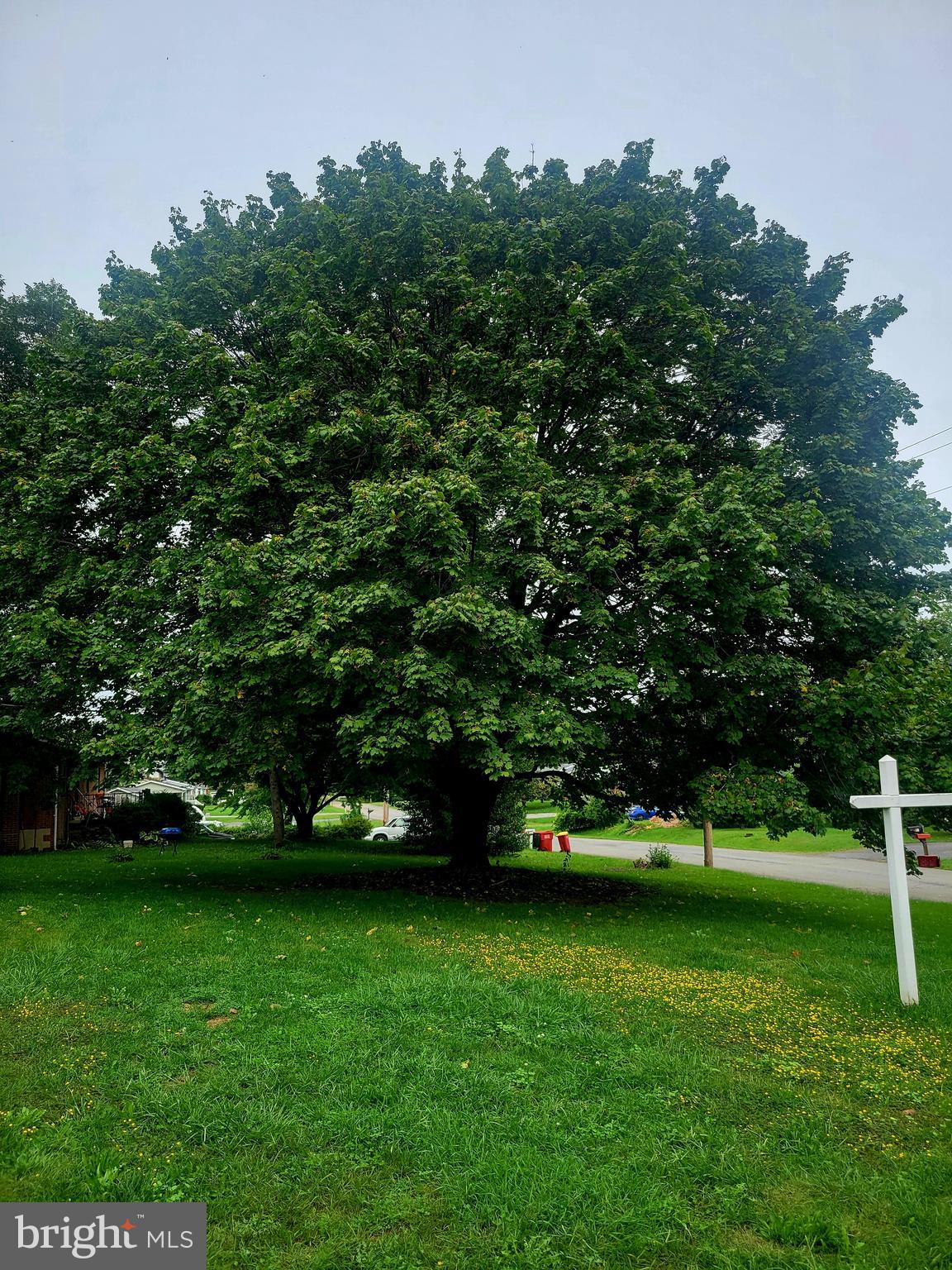 WALNUT GROVE - Residential