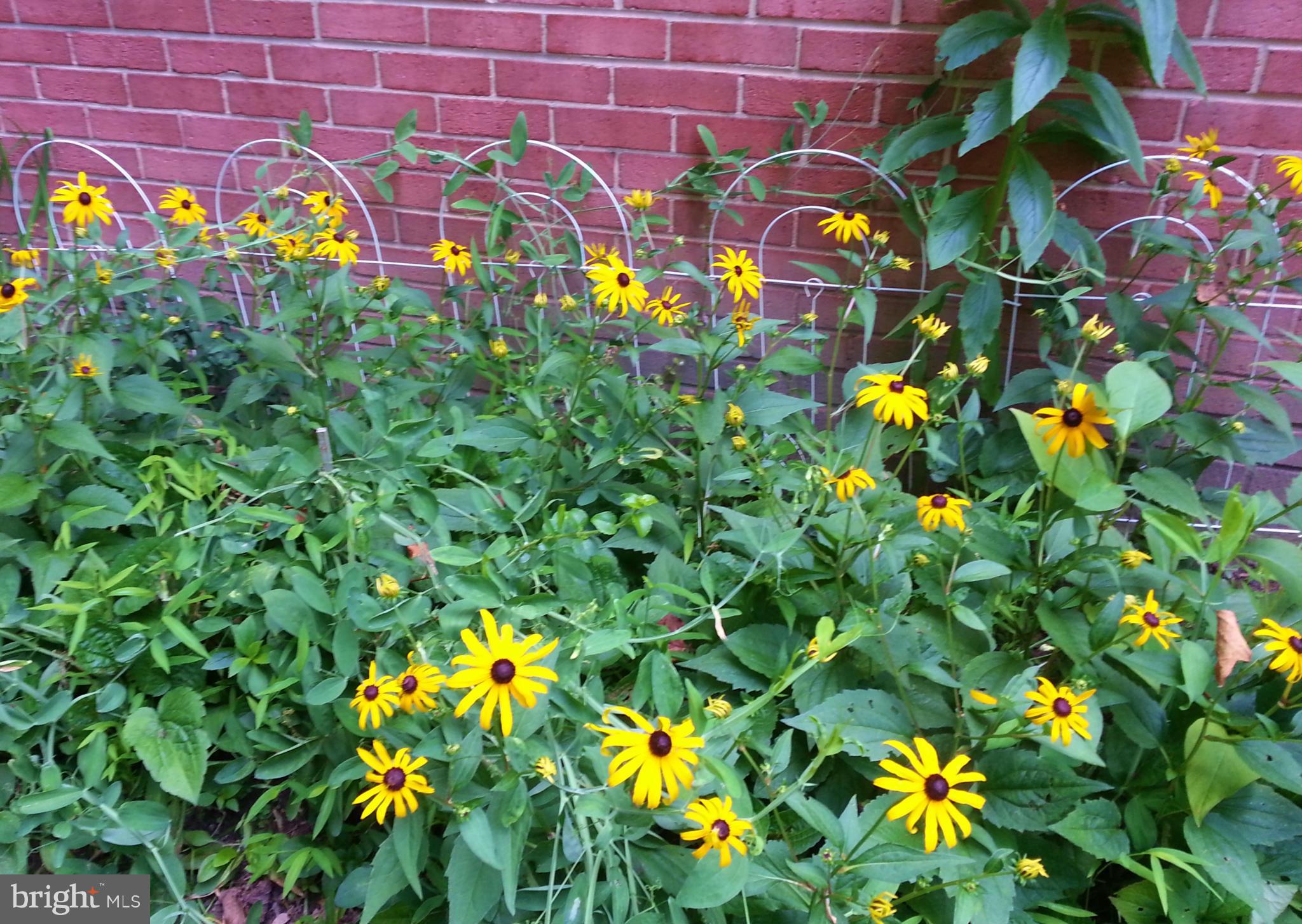 ORCHARD VIEW - Residential