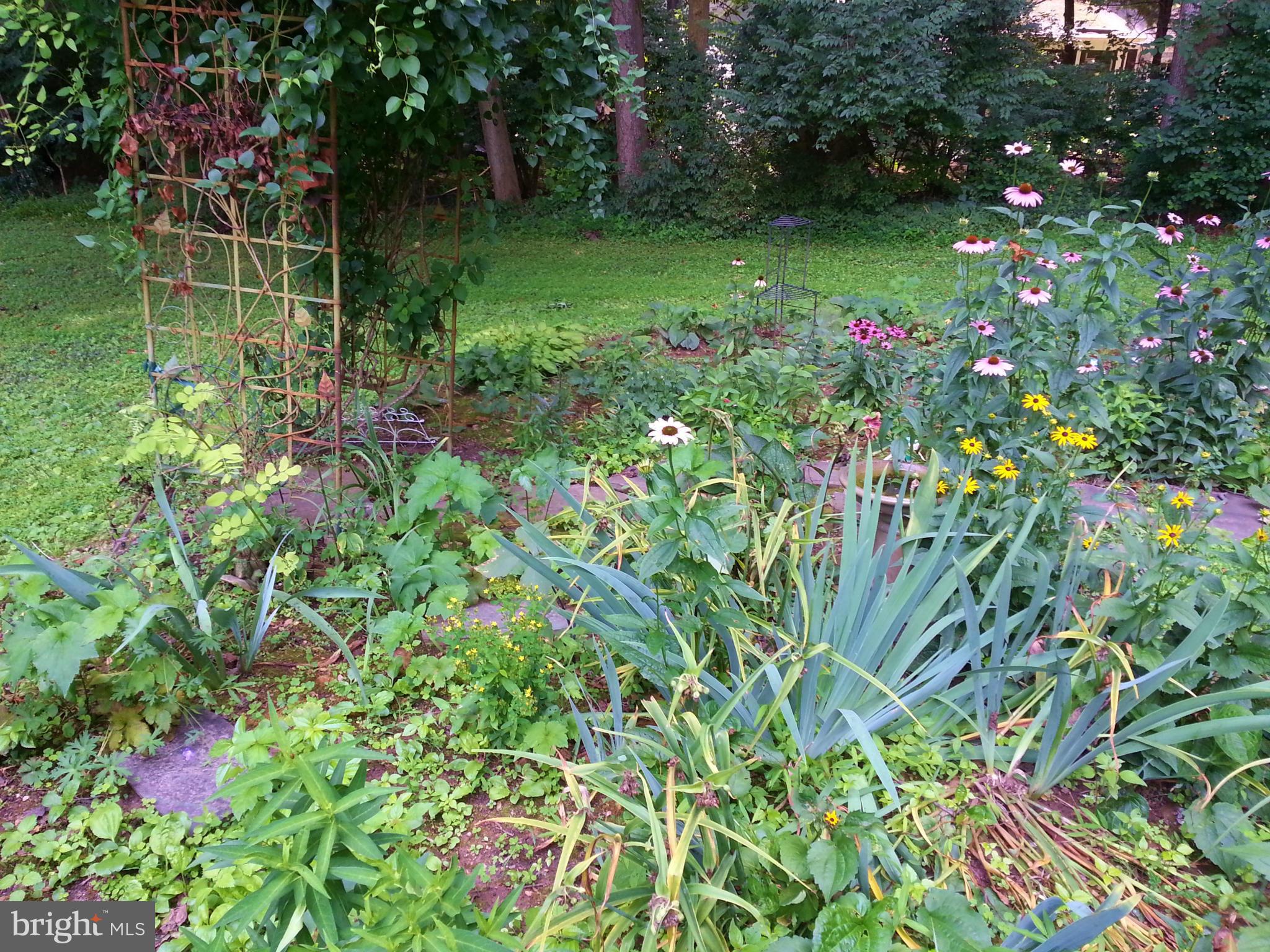 ORCHARD VIEW - Residential