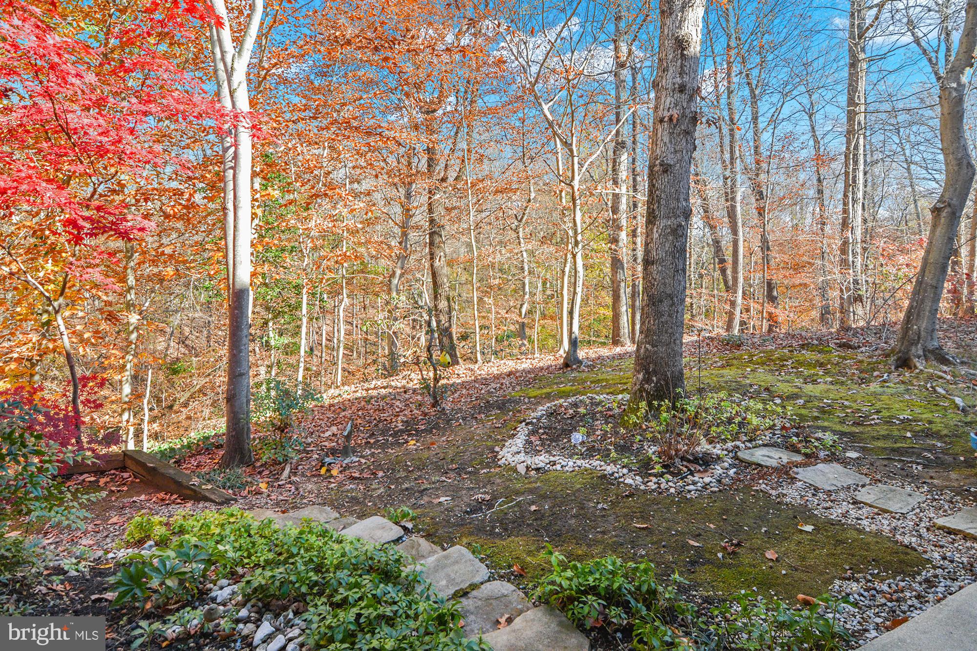 1447 FALCON NEST COURT 45