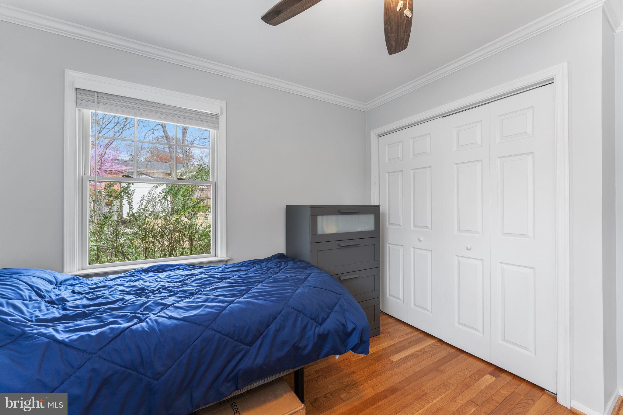 WEST SPRINGFIELD - Residential