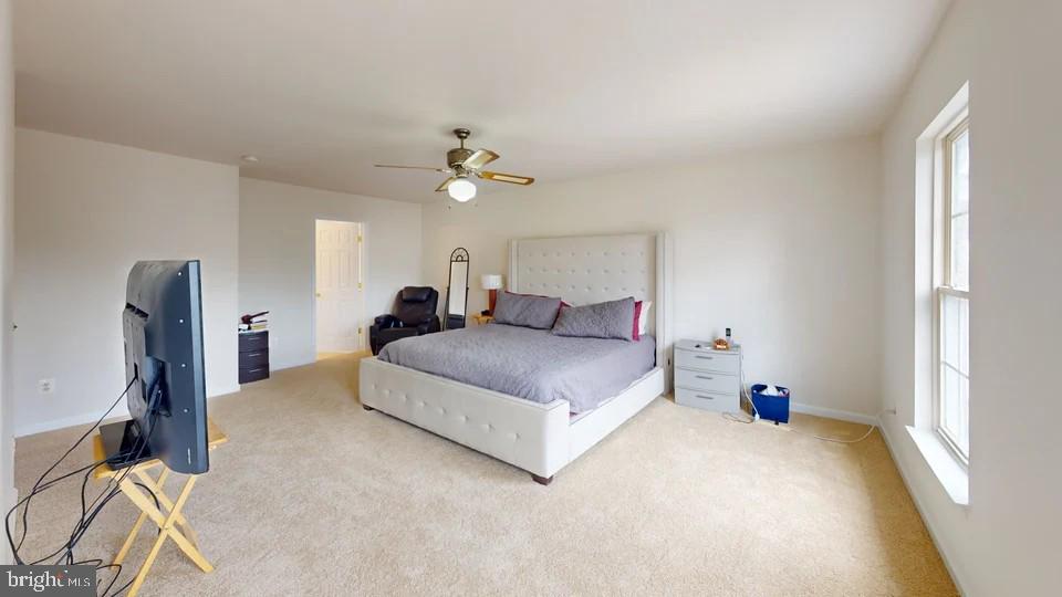 BROAD RUN OAKS - Residential