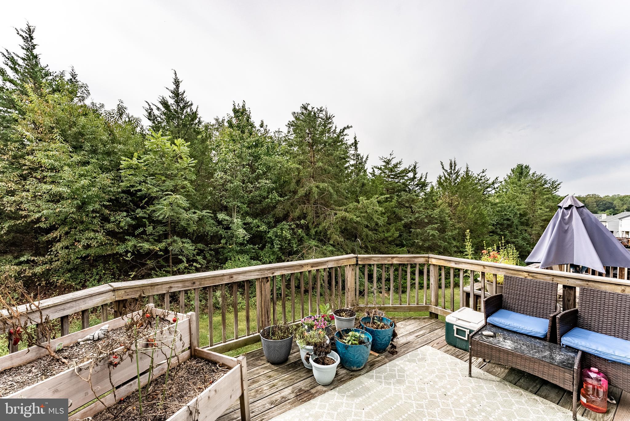 MONTCLAIR MEWS - Residential