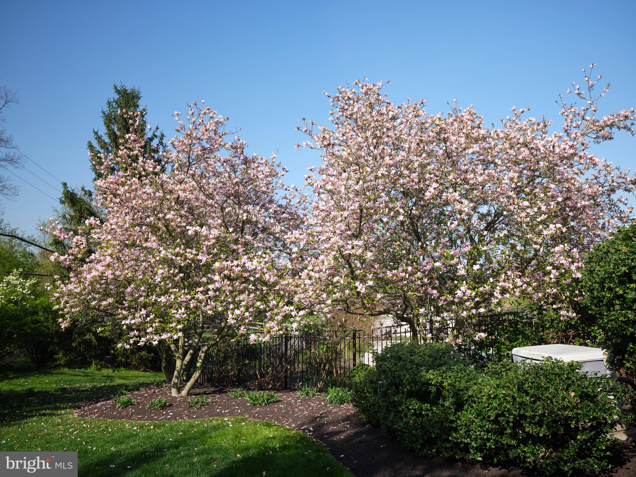 LOOKWAY COURT - Residential