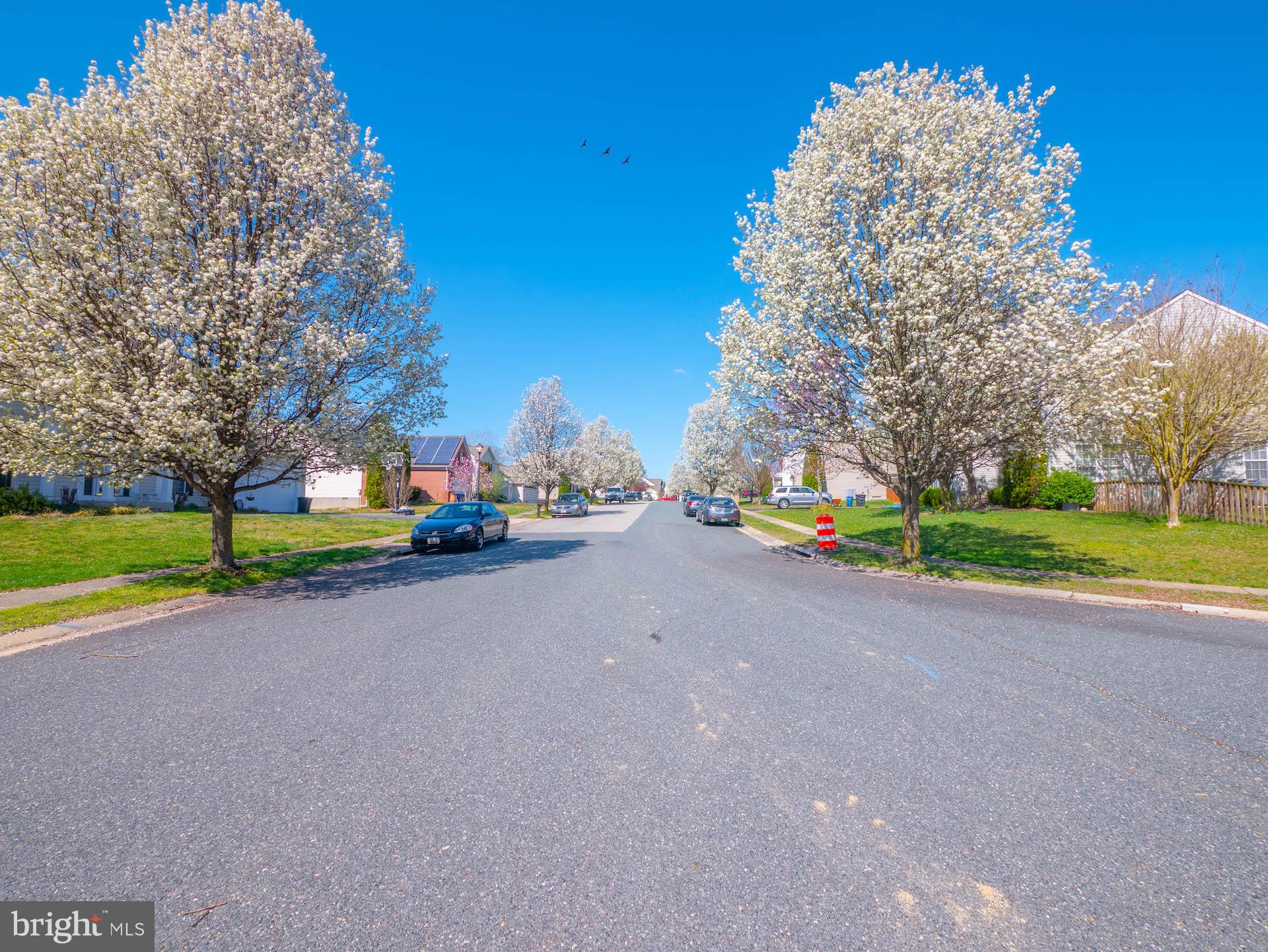NORTH BROOK - Residential