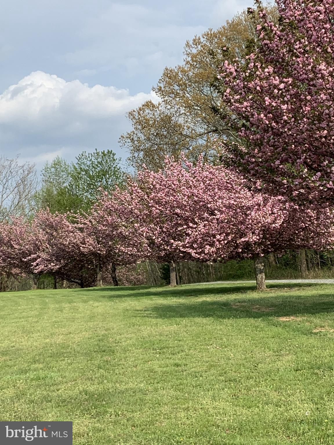 THOMPSON RIDGE - Residential
