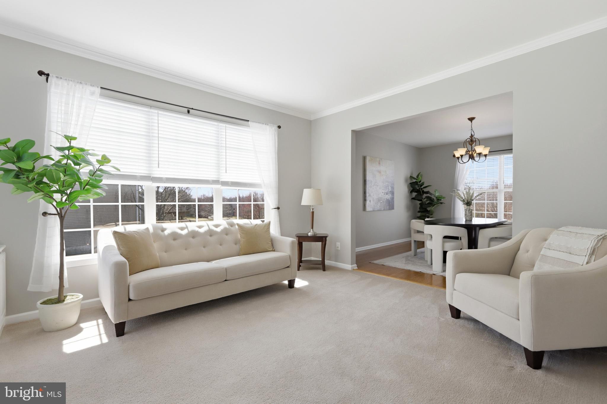 MEADOW RUN - Residential