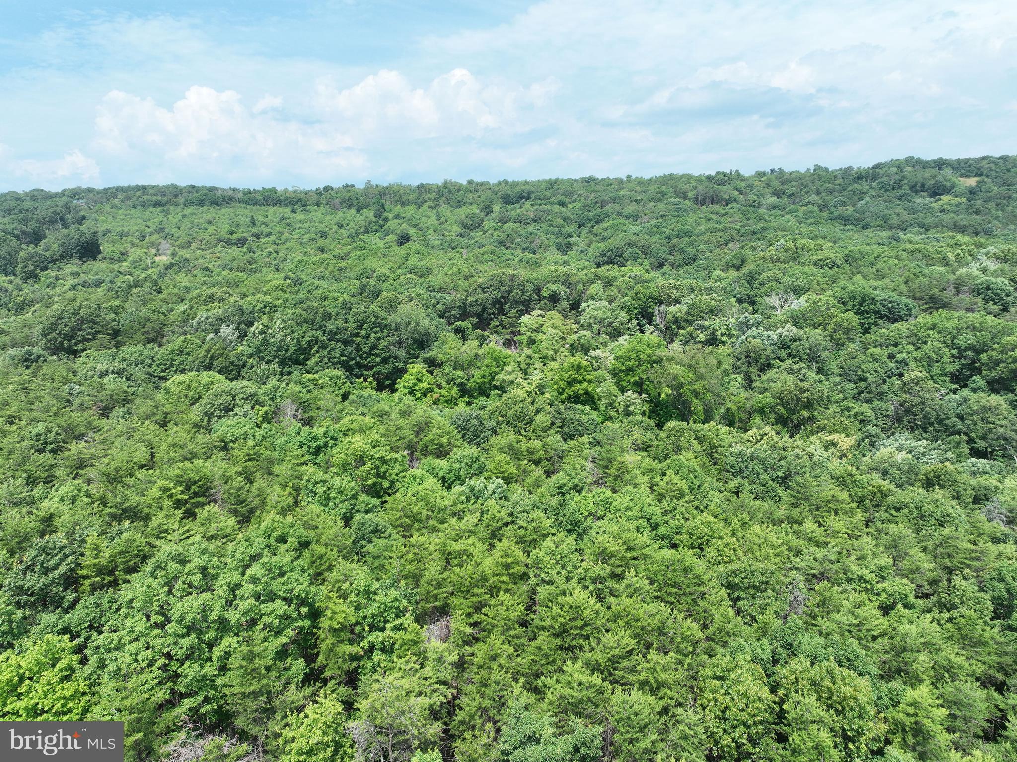 BLUFFS OF THE POTOMAC - Land