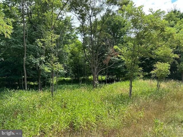 BLUFFS OF THE POTOMAC - Land