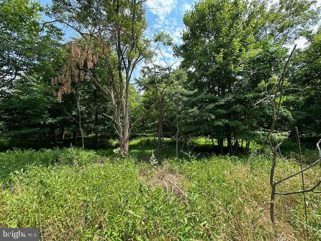 BLUFFS OF THE POTOMAC - Land