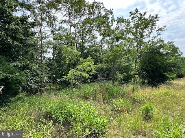 BLUFFS OF THE POTOMAC - Land