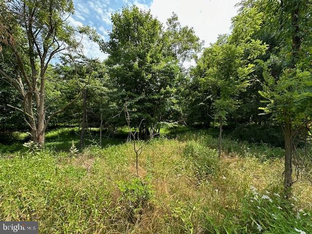 BLUFFS OF THE POTOMAC - Land